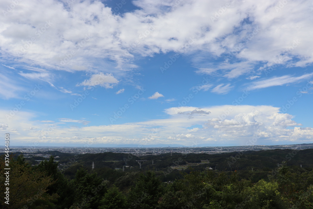 綺麗な青空と光輝く植物 綺麗な青空と光輝く植物