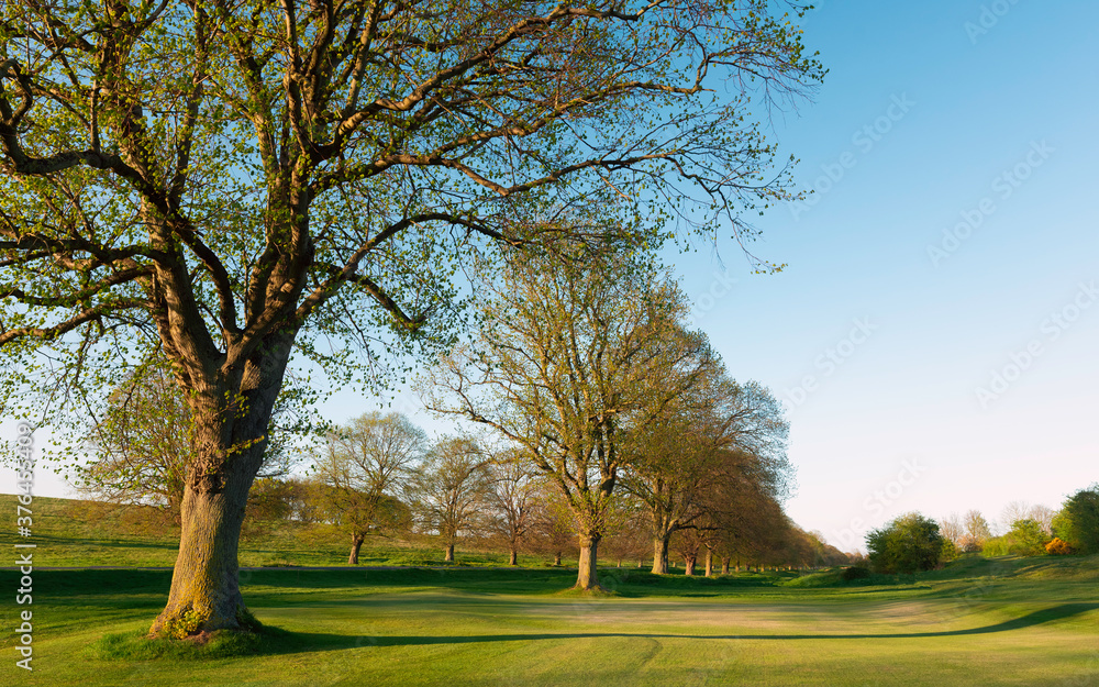 Deserted beautiful golf course due to Corona virus outbreak. Beverley, UK. Deserted beautiful golf course due to Corona virus outbreak. Beverley, UK.
