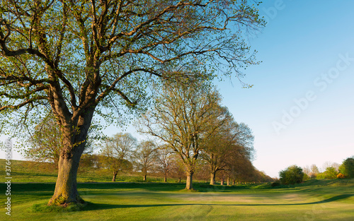 Deserted beautiful golf course due to Corona virus outbreak. Beverley, UK.