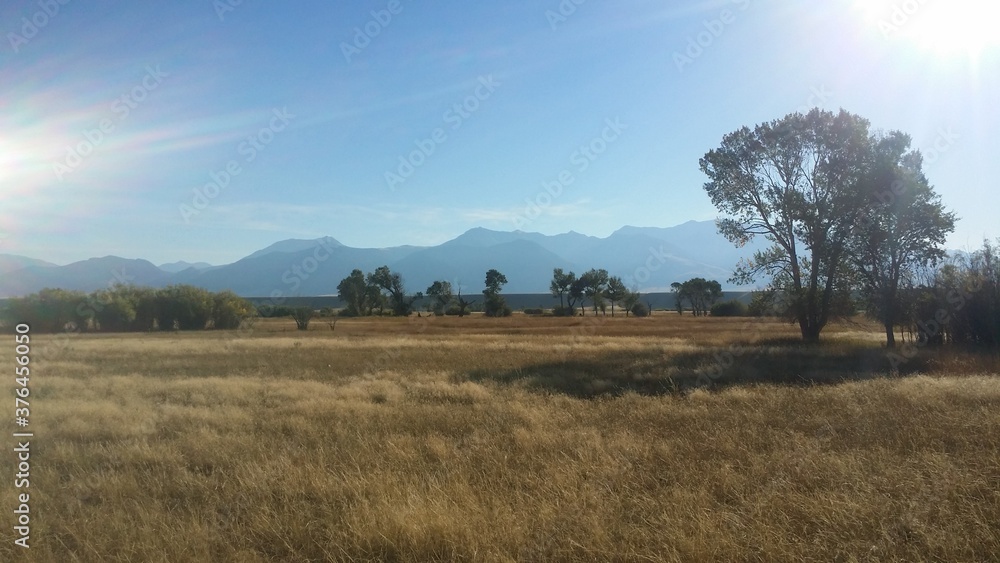 Obraz premium Montana river in fall