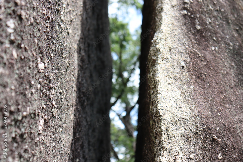 Obraz premium 山の山頂にある大きな岩