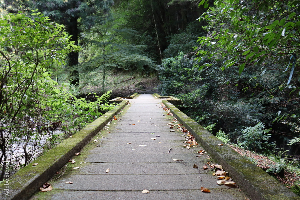 Fototapeta premium 山と山を繋ぐ架け橋