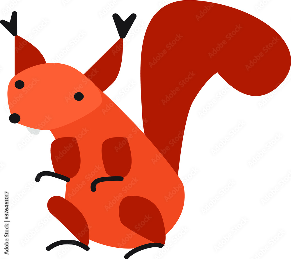 Fototapeta premium red squirrel with big teeth and fluffy tail