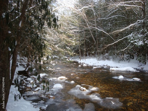 winter in the forest snow covered trail river