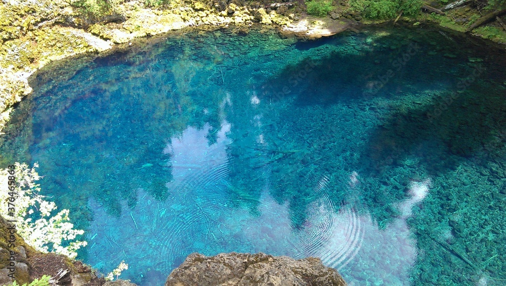 Blue Pool Oregon clear water forest