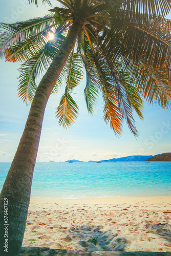 A coconut palm trees on the beach with the background of  the  blue sky and beautiful tropical beach in Koh Lipe  Thailand.