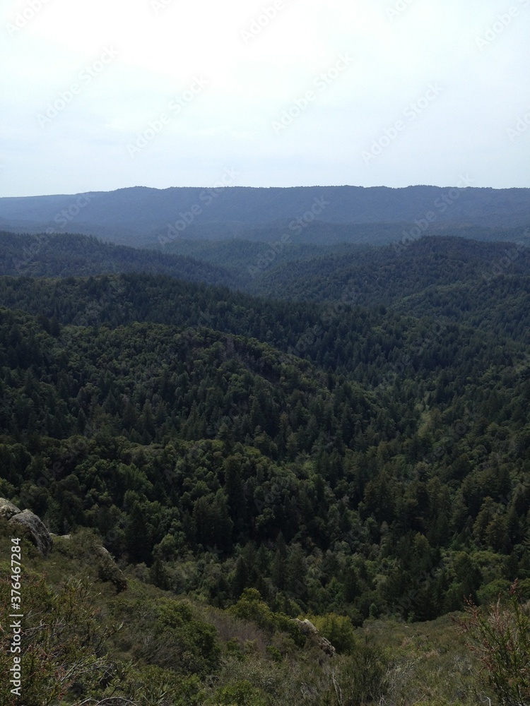 Mountain forest views in Castle Rock State Park