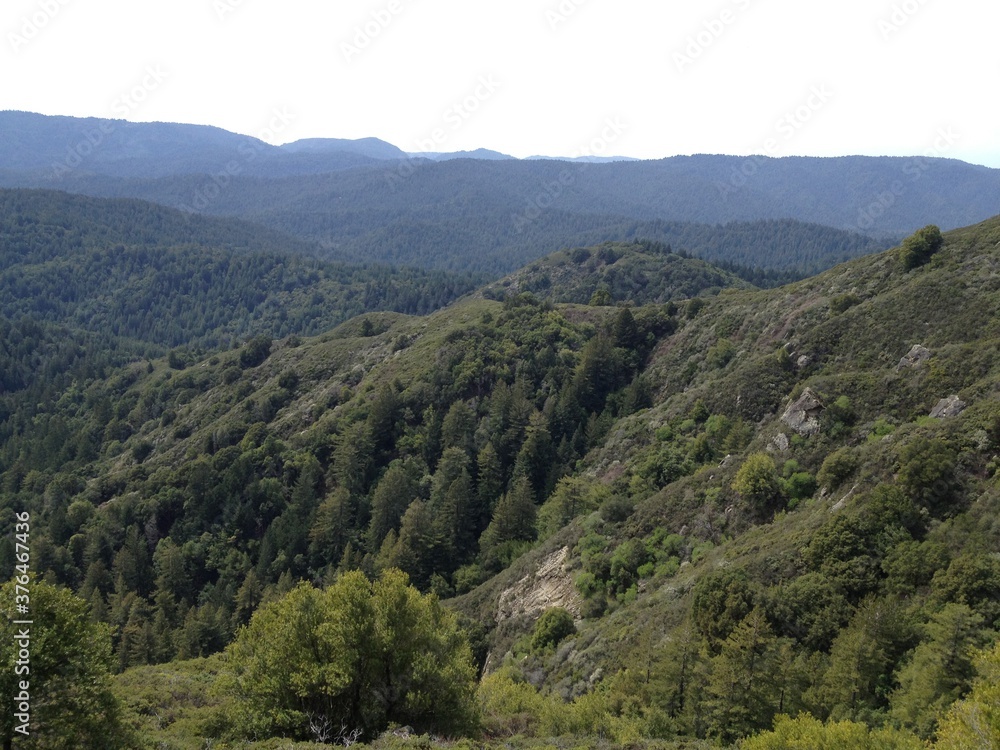 Mountain forest views in Castle Rock State Park