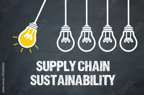 Supply Chain Sustainability photo