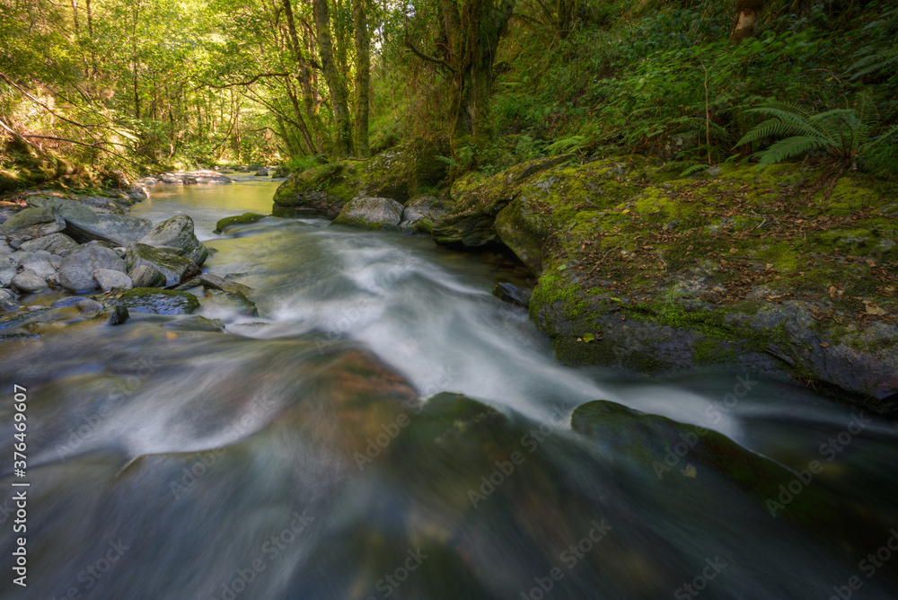 Obraz premium A river flows into a bright glade from dark deciduous forests