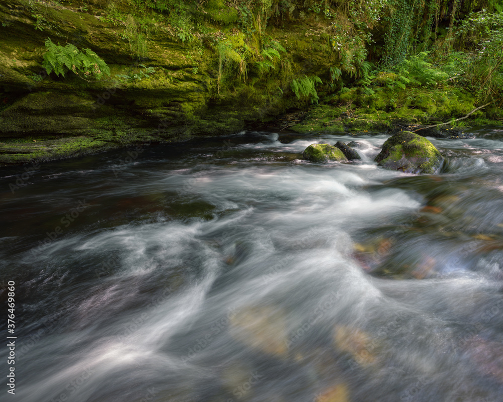 Obraz premium Stream of a river against a slate wall covered in moss and ferns