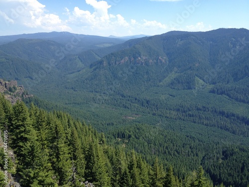 Forest mountain landscape blue sky