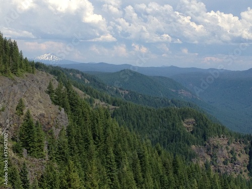 Forest mountain landscape blue sky