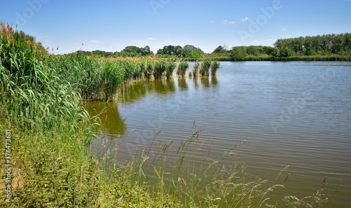 Lake and reed beds landscape at Nature Reserve Du Haut Geer, Hollogne-sur-Geer, Liège, Belgium, Europe