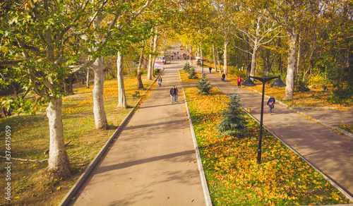 Obraz na płótnie People walking in autumn park with golden leaves on sunny weather. Aerial view w salonie