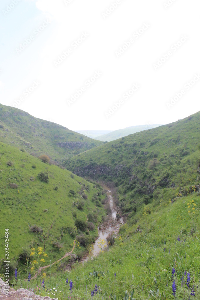 mountain road in the mountains