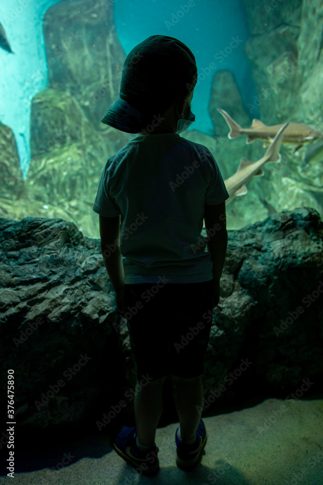 Silhouette of a little boy wearing cap standing by the glass of aquarium and looking on it.