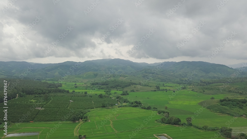 Top view of rice field land scape photo by drone