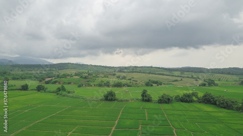 Top view of rice field land scape photo by drone © Chatchawarn