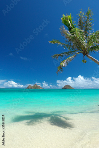 快晴のハワイ ラニカイビーチとモクルアと椰子の木 Stock Photo Adobe Stock