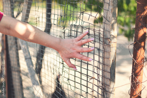 Hands of a caucasian girl on a wire fence.