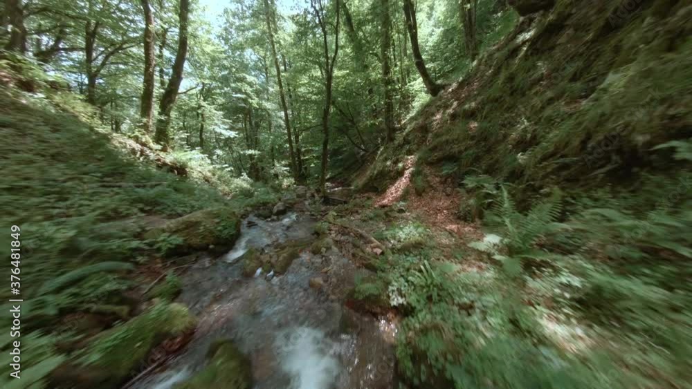 Fast flying drone view rocky river flow in tropical jungle green forest. FPV sport drone cinematic shooting river water flowing on rocks in summer jungle. Wild forest nature from drone above Fast flying drone view rocky river flow in tropical jungle green forest. FPV sport drone cinematic shooting river water flowing on rocks in summer jungle. Wild forest nature from drone above