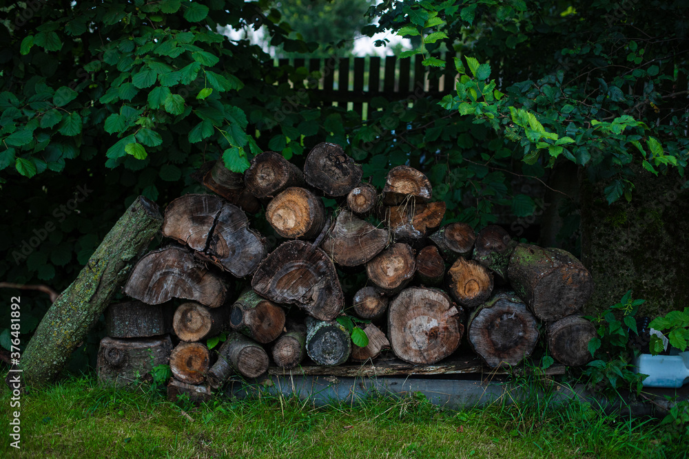 A lot of wood and logs in the backyard of a house in village