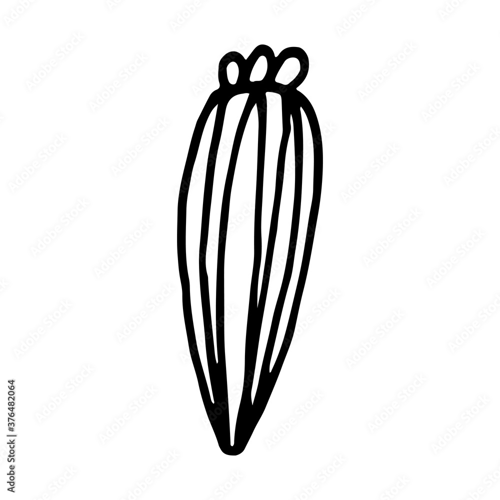 Hand drawn doodle flower head illustration. Simple floral element isolated on white background Hand drawn doodle flower head illustration. Simple floral element isolated on white background