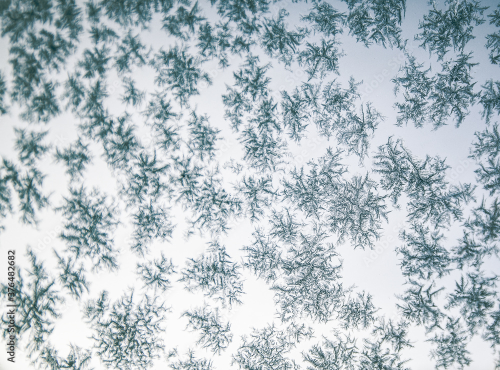 beautiful frozen snowflakes Christmas background beautiful frozen snowflakes Christmas background