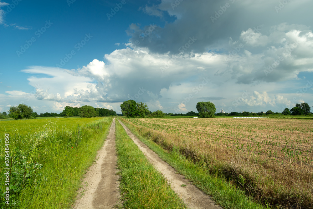 Long country road through fields and clouds on blue sky Long country road through fields and clouds on blue sky