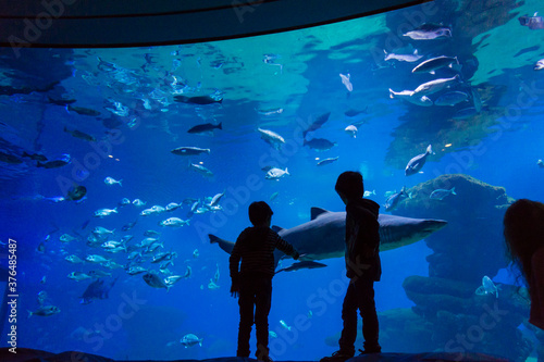 Fotobehang Palma Aquarium, founded in 2007 and owned by the company Coral World Internation