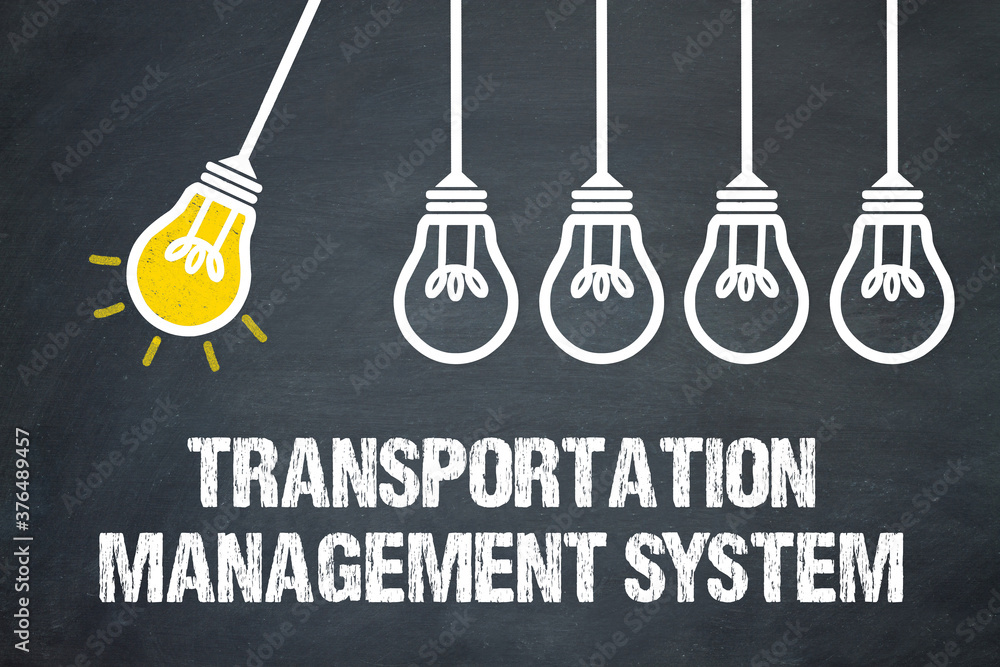 Naklejka premium Transportation Management System