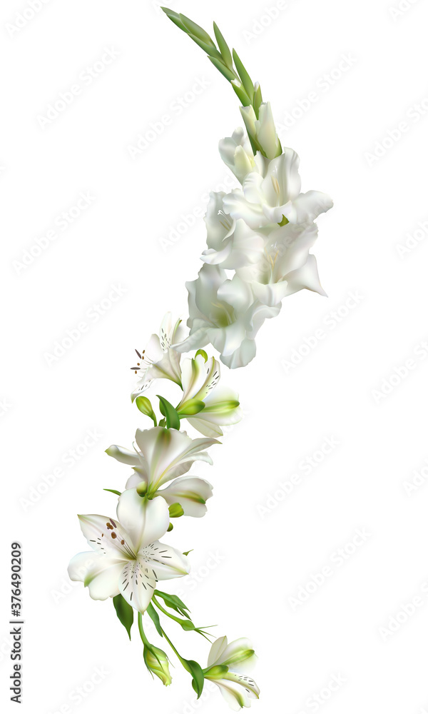 Flowers. White lilies. Gladiolus. Floral pattern. Vector illustration. Floral background.
