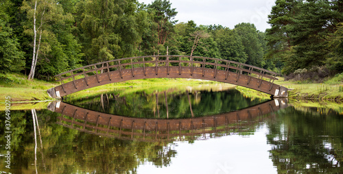 Elegantly curved pedestrian bridge over a canal in a Natura 2000 reserve of the Amsterdam Drinking Water company near Zandvoort