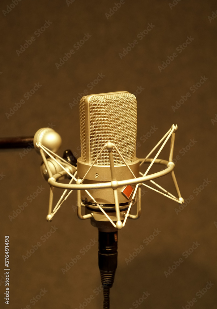 Gray background microphone in professional recording room.