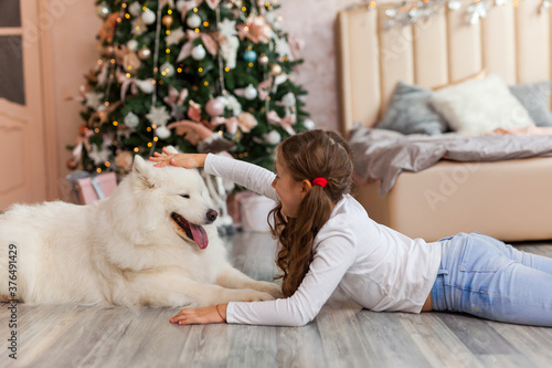 Christmas Child girl with dog Samoyed. New Year at home