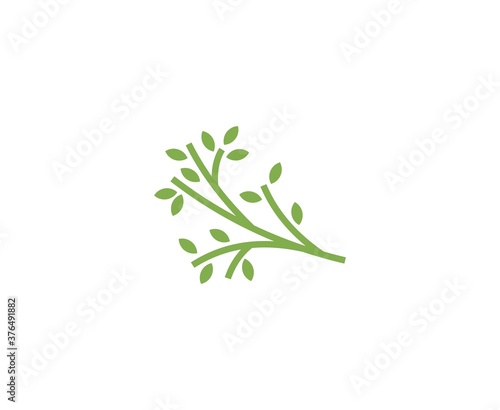 Branch logo 