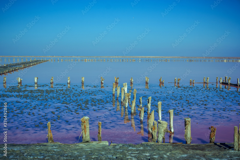 Salt, brine and mud of pink salty Sivash Lake near Azov Sea, colored by micro algae Dunaliella salina, enriching water of the lake by beta-carotene