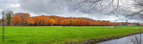 Autumn forest near Overveen, Netherlands photo