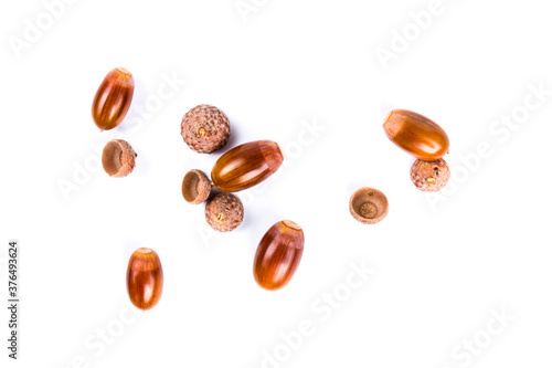 Wallpaper Mural Ripe acorns isolated on  white background, close-up Torontodigital.ca