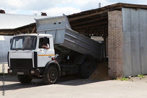 A truck unloads grain into a barn after harvesting. 
