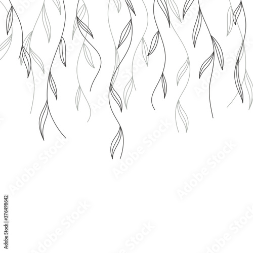 Willow branches with leaves on white background; ornate border element; upper branches of tree