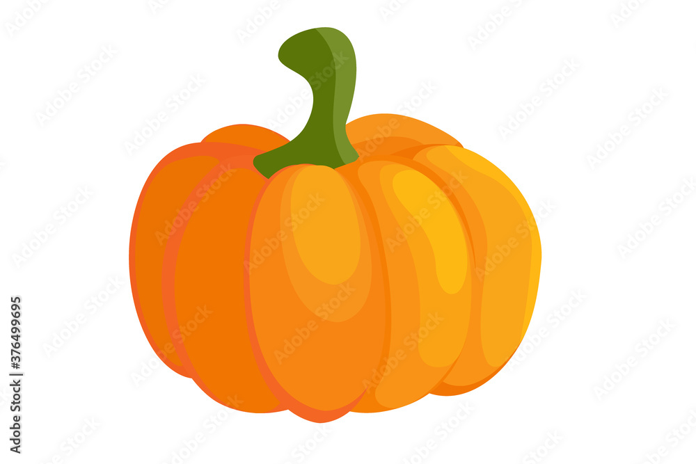 Obraz premium Orange pumpkin vector illustration. Pumpkin colorful icon