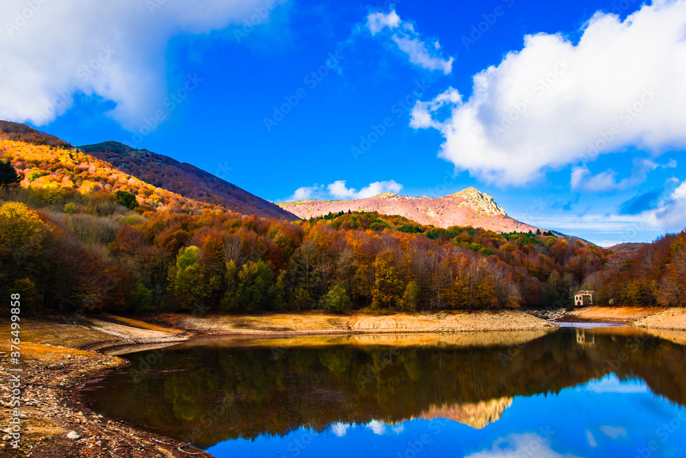 Colorful trees and leaves in autumn in the Montseny Natural Park in Barcelona, Spain Colorful trees and leaves in autumn in the Montseny Natural Park in Barcelona, Spain