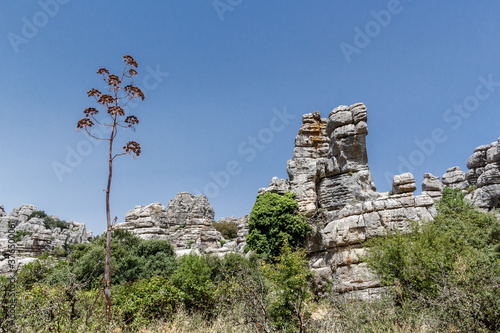 The torcal of antequera in Malaga photo