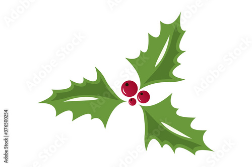 Holly berry Christmas icon. Element for design. Vector illustration