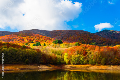 Colorful trees and leaves in autumn in the Montseny Natural Park in Barcelona, Spain photo