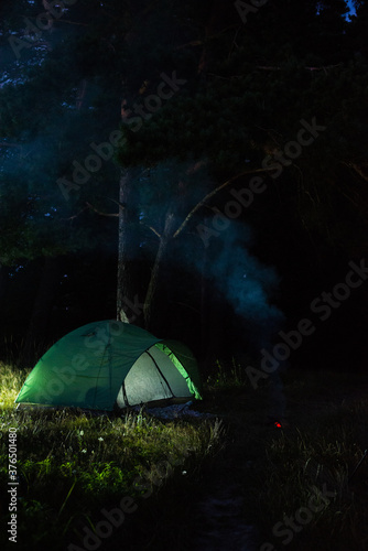 night in the forest - camping