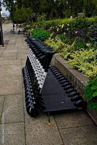 Photography Black electric kick bikes for rent, standing in a large row.