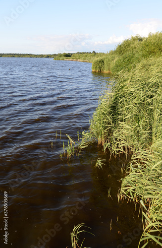 Bederkesaer See photo